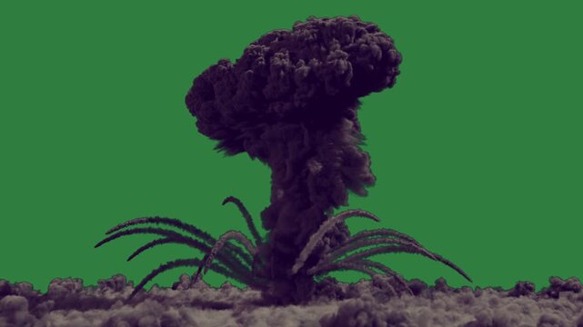 Animated Black Gorilla Green Screen Chroma Key Motion Graphic