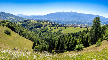 Fototapeta premium Fields and meadows near Pestera Village, Romania