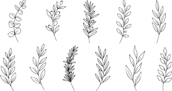 Botanical leaves, hand-drawn foliage, black and white illustrations, vector leaf icons, 10 piece set