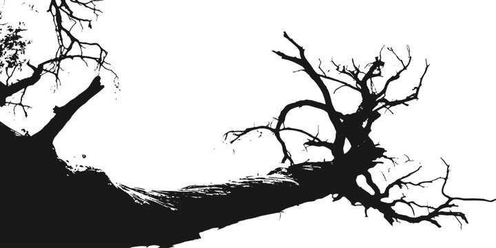 Black silhouette of a dead bare tree branch extending diagonally against a solid white background vector illustration.