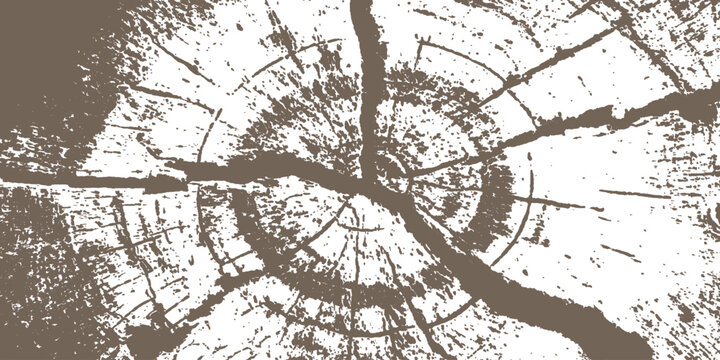 Distressed tree ring wood cross section texture background with natural cracks and rough grain vector illustration.