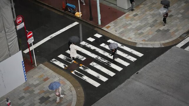Rainy Tokyo Pedestrians Umbrellas Crosswalk Luxury Avenue Walks