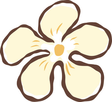 Minimalist cream frangipani flower clipart