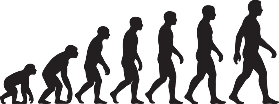 Human evolution walking silhouettes illustration