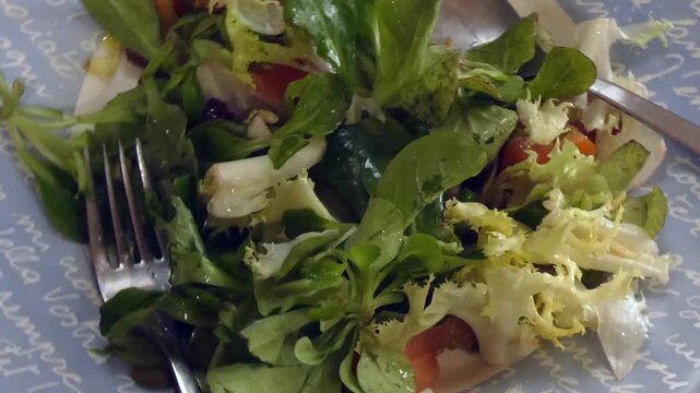 Fork eating a fresh green vegetable salad with tomato, lamb's lettuce, escarole, and nuts