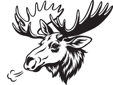 Moose head, moose illustration, animal portrait, wildlife art, black and white vector
