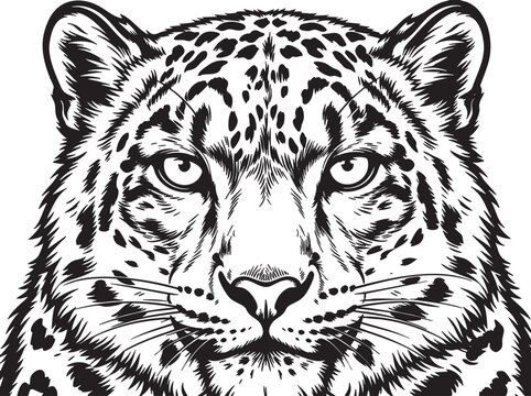 Leopard head, black and white vector, animal illustration, wildlife graphic