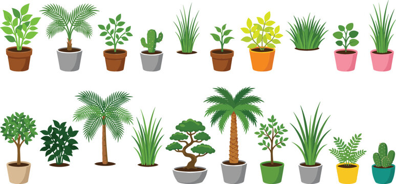 Collection of colorful indoor and outdoor potted plants, tropical palms, succulents, cacti, bonsai trees, and decorative foliage for home, garden, and nature designs