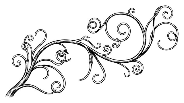 Ornate scroll swirls and vine filigree elements in vintage engraving style