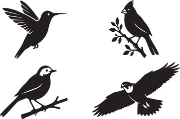Fototapeta premium Diverse Wild Birds and Flying Songbirds Vector Silhouettes