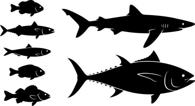 Marine Fish Silhouette Collection Featuring Shark Tuna and Freshwater Species for Ocean Wildlife Fishing and Aquarium Design Projects