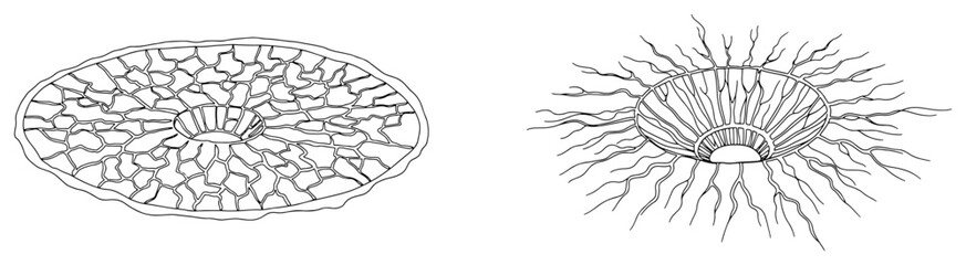 Continuous line drawing of two large ground craters with cracks caused by a powerful explosion or impact © Alicja