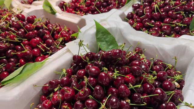 Ripe cherries in a tray on market