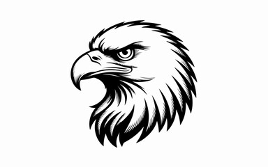 Fototapeta premium Vector illustration of a bald eagle head, mascot logo design