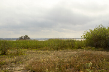 Fototapeta premium Coastal nature and wild vegetation landscape in Canet-en-Roussillon, South of France