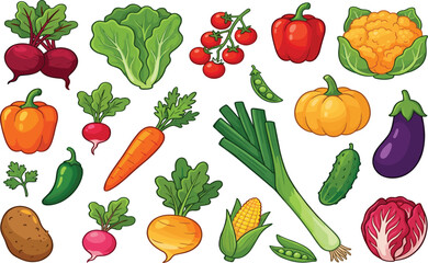 Fototapeta premium Fresh organic vegetables set with tomato carrot pumpkin pepper and broccoli cartoon vector illustration isolated on white