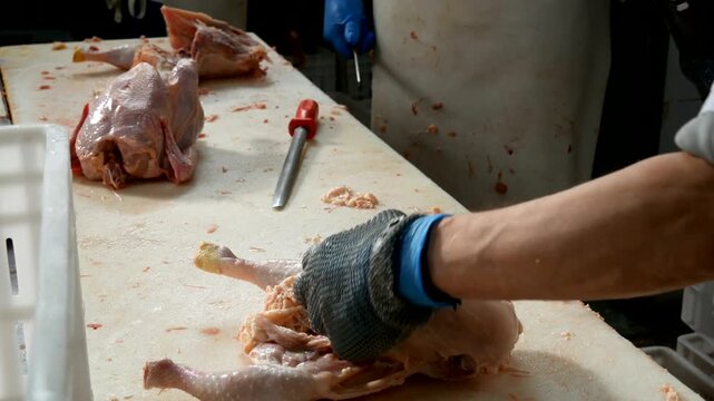 Raw Chicken Butchering in Poultry Processing Facility