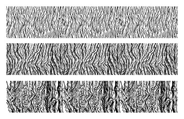 Wood grain bark textures and organic tree trunk patterns in engraving style © Kumamoto