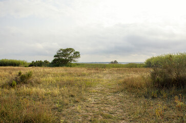 Naklejka premium Coastal nature and wild vegetation landscape in Canet-en-Roussillon, South of France