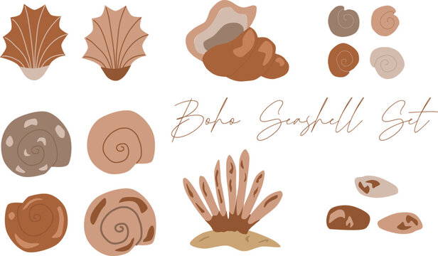 Boho seashell set