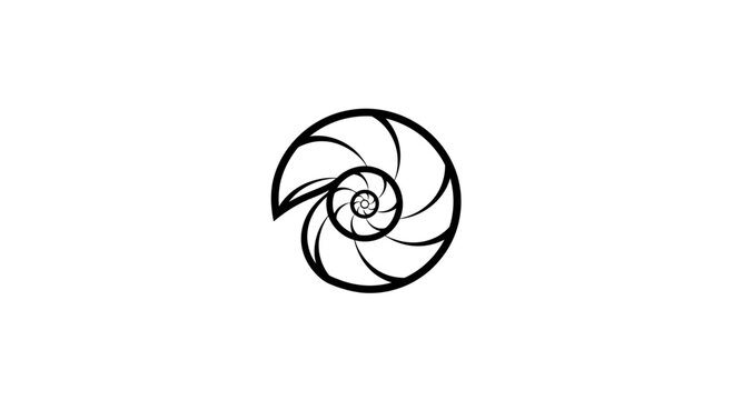 Abstract black line art illustration of a spiral nautilus shell, representing golden ratio and sacred geometry on white background.