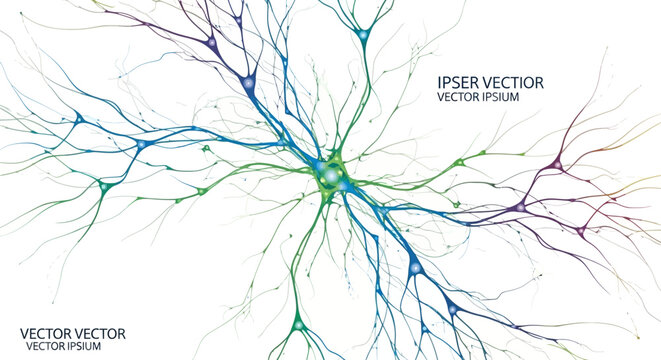 A colorful illustration of a neuron with branching dendrites on a white background.