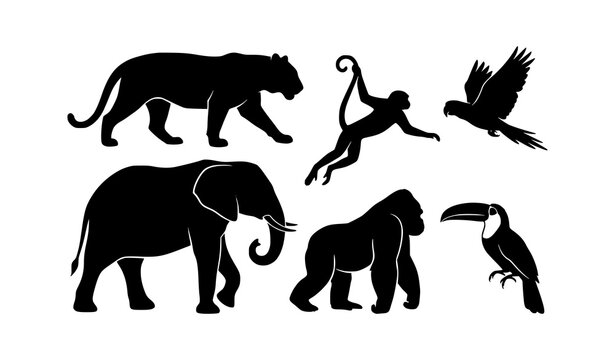 ​Jungle and Rainforest Animals Silhouette Vector Set: Black Icons of Tiger, Elephant, Gorilla, Monkey, Parrot, and Toucan Isolated on White Background.
