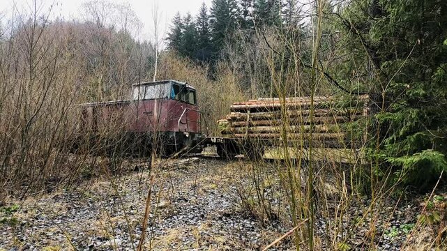 Vintage narrow-gauge locomotive with a load of timber logs