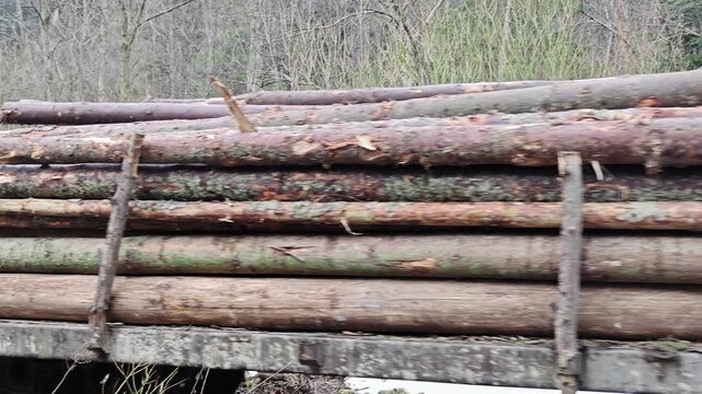 Close-up of stacked timber logs on a railway freight car