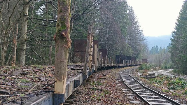 Empty logging flatbed wagons on a narrow-gauge railway in the mountains