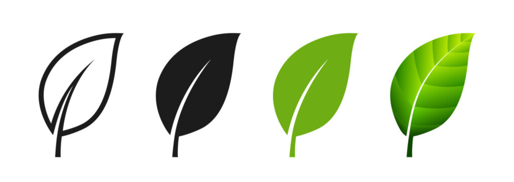 Leaf Icon Set, Minimal Single Plant Leaf Vector isolated on Transparent White Background