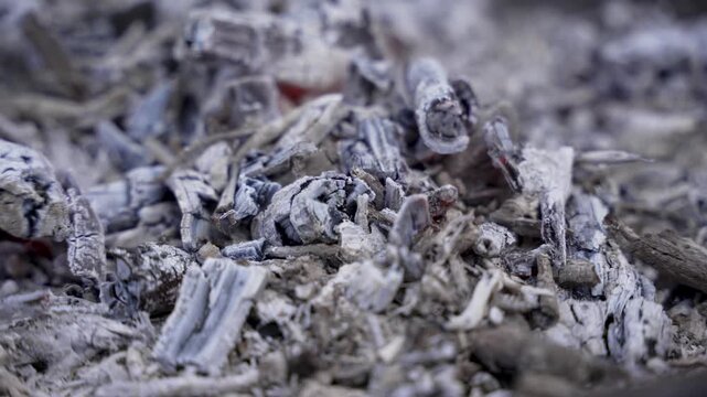 Macro Detail of Cold Ash and Burned Charcoal