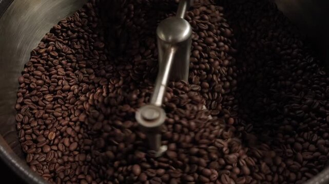 Fresh roasted coffee beans spinning in a professional roaster. Aromatic brown beans in motion