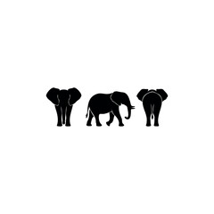 Fototapeta premium A clean vector illustration showcasing three black elephant silhouettes displayed from different angles: front view, side view, and back view. Each silhouette highlights the elephant’s large ears, tru