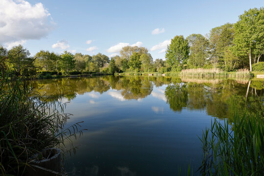 Fishing Lake In Henlow - _S5B3347