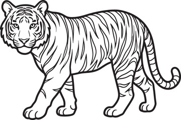 Obraz premium Tiger illustration, outline drawing, walking, wild animal, black and white