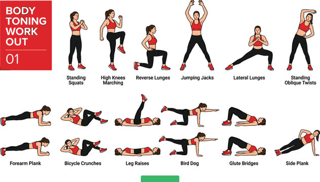 Female Body Toning Workout Routine Vector Chart Featuring Cardio Abs Leg and Core Exercises for Home Fitness Poster and Gym Design Elements