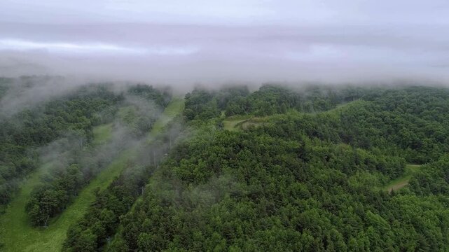 Cinematic View Of Poconos Mountains, USA