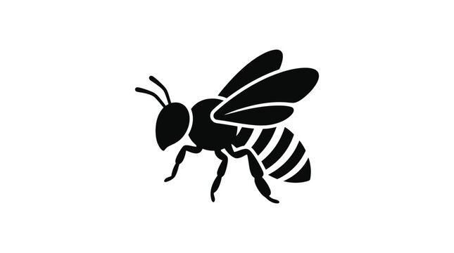 Bee silhouette on a white background
