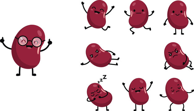 Cute kidney bean character vector set with funny facial expressions, emotions, poses, and cartoon mascot design