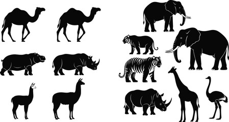 Black Silhouette Vector Set of Wild Animals Including Camels, Elephants, Tigers, Rhinos, Giraffes, Llamas, and Ostriches © MdSazzad