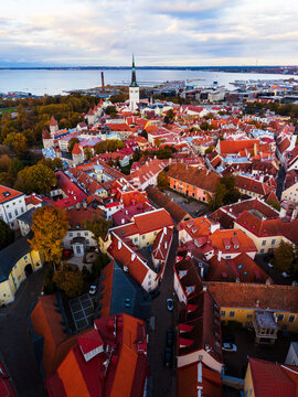 Aerial view of Tallinn historic Old Town with St. Olaf Church spire and red rooftops at sunset, Estonia