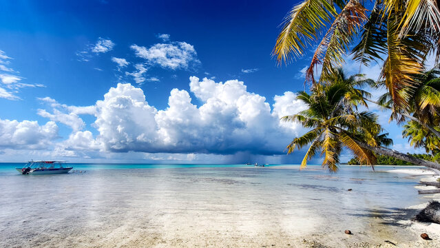 L'&icirc;le au r&eacute;cif - Rangiroa - Tahiti