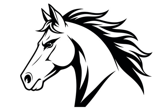 Black and white horse head.
