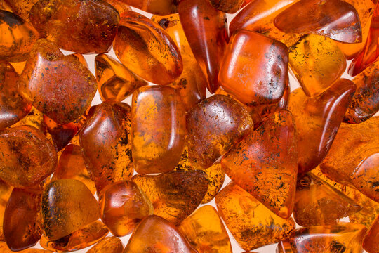 natural baltic amber