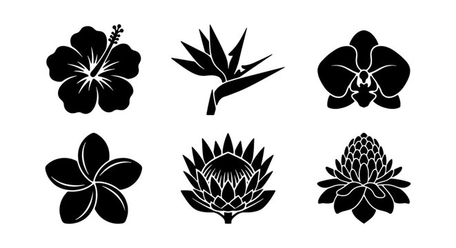 Tropical Flower Silhouettes, Exotic Floral Icons, Botanical Vector Graphics