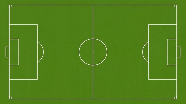 Top view of a professional soccer field with white markings on green grass