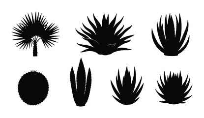 Set of 7 Black Silhouette Desert Plants, Succulents, Agave, Palm Vector Icons for Landscape Design and Botanical Graphics © Jannatul