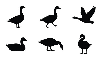 Black Goose Silhouettes Vector Set, Various Poses and Actions, Wildlife Bird Graphics © Nadira