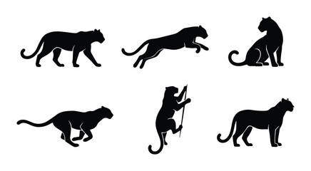 Black Panther Silhouettes, Wild Cat Vector Icons, Big Cat Poses, Jungle Predator Graphics, Elegant Feline Set © Saif